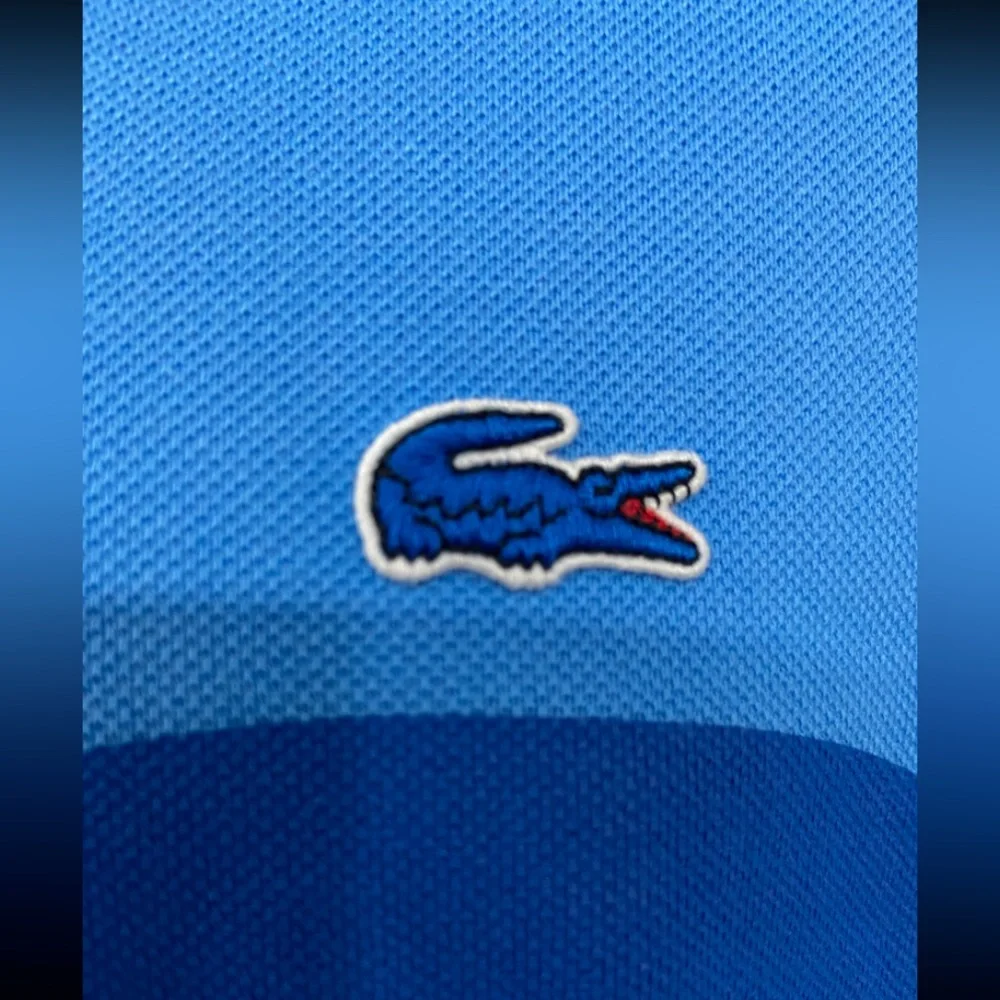 NEW Lacoste Men Regular Fit Contrast Lettering Petit‎ Pique Polo Argentine Large